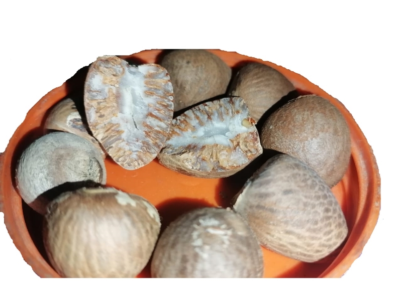  Dried Erica Nuts